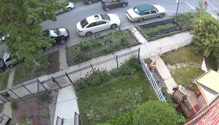 Reolink Camera One_00_Reolink Home Hub One_20260521064906.jpg